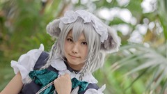 Woman bows asians maids braids gray hair touhou animal ears 
