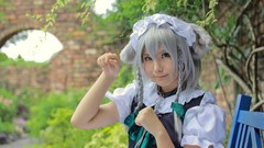 Woman bows asians maids braids gray hair touhou animal ears 