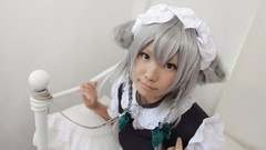Woman bows asians maids braids gray hair touhou animal ears 