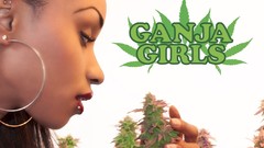 Woman bud marijuana piercings