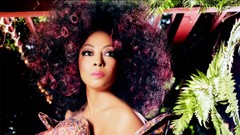 Woman Celebrity brown eyes brunettes diana ross afro