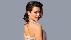 Woman Celebrity brunettes cote de pablo grey background tv 
