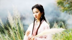 Woman China asians TV series liu yi fei