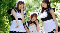 Woman cosplay maids Japanese