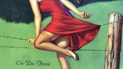 Woman dress fences stockings