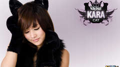 Woman faces asians k-pop Kara (band) Nicole Jung