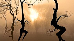 Woman fantasy 3d mythical