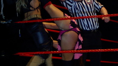 Woman Fighting WWE Divas
