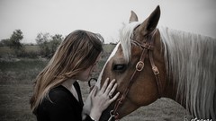 Woman Horses bstrange bobby strange