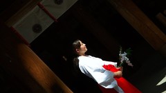 Woman Japanese miko shrine