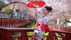 Woman kimono asians parasol models cherry blossoms Korean 