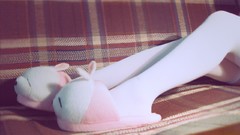 Woman legs pantyhose slippers body parts