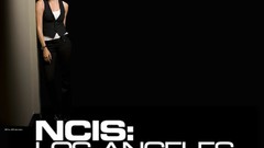 Woman long hair brown eyes brunettes Daniela Ruah