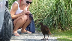 Woman New Zealand blondes live Riley pornstars Cherie Anikka