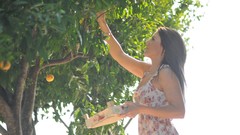 Woman oranges dress fruits legs outdoors brunettes Girlfolio 