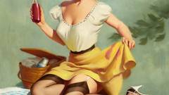 Woman picnic stockings brunettes pinups