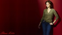 Woman red background smiling brunettes kate beckett stana katic 