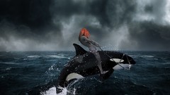 Woman redheads killer whales