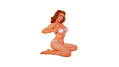 Woman redheads pinups artwork