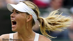 Woman tennis shout blondes maria sharapova tennis players