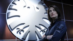 Woman TV Actress cobie smulders brunettes still TV series maria 