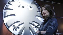 Woman TV Actress cobie smulders brunettes still TV series maria 