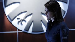 Woman TV Actress cobie smulders brunettes still TV series maria 