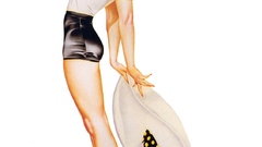 Woman uniforms pinups