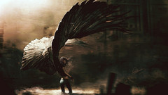 Woman wings dark 88grzes