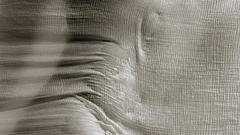 Women body female gauze