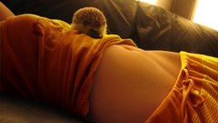 Women couch Animals stomach