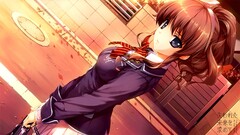 Women Hanamiya Nagisa Anime anime girls brunette long hair