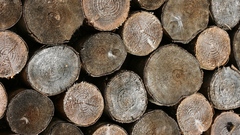 Wood high continued stockphoto hrt Resolution