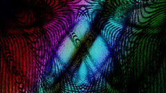 Wood so concludes My