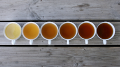 Wood tea grey Sequential