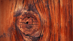 Wood texture