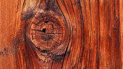 Wood Textures wood texture