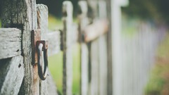Wood Wooden fence fences depth of field