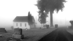 Woodbine cemetery high