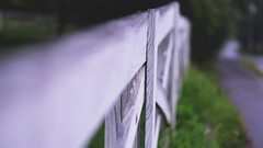 Wooden fence fences depth of field