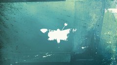 Work for moth sol doing potf