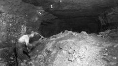 Worker anyone have any