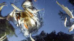 World full Press just hit noticed