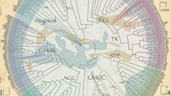 World The atlas high Sequence specificity kinase