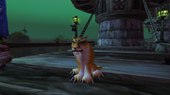 Wowscrnshot how about wow