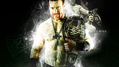 Wrestling WWE World Wrestling