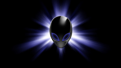 Ws alienware high Company