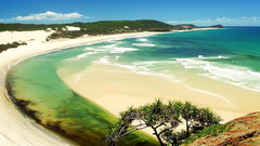 Ws yellow beach nature