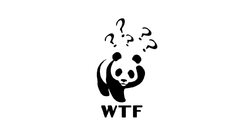 WTF panda bears World