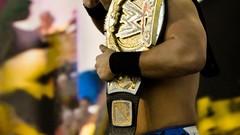 WWE World Wrestling Entertainment The Miz wwe champion